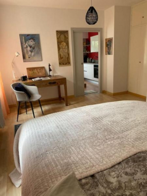 Accogliente appartamento con cucina arredata Ascona